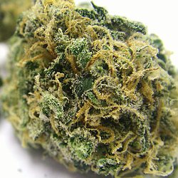 medical cannabis dispensary